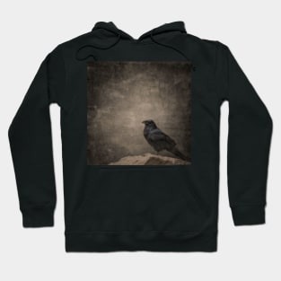 Raven On A Rock Hoodie